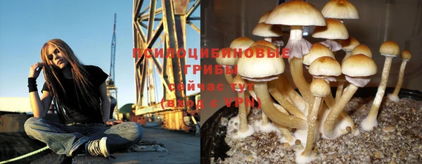 дистиллят марихуана Горняк