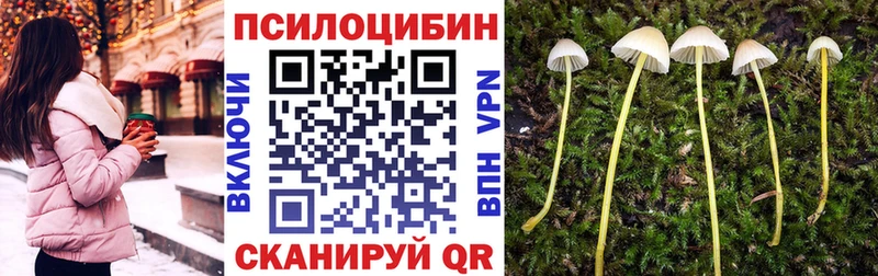 Галлюциногенные грибы GOLDEN TEACHER  Евпатория 